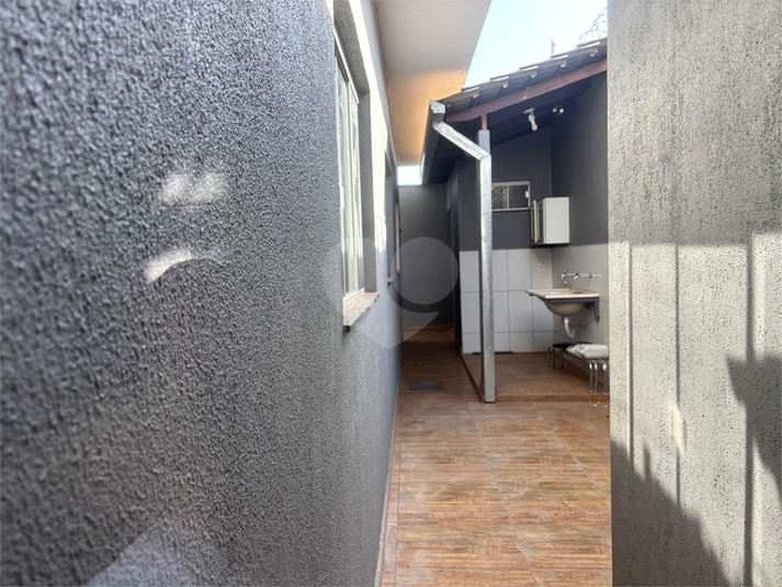 Foto REO1119823