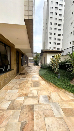 Foto REO1119825