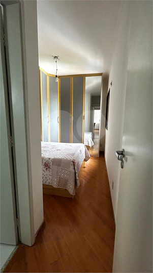 Foto REO1119825
