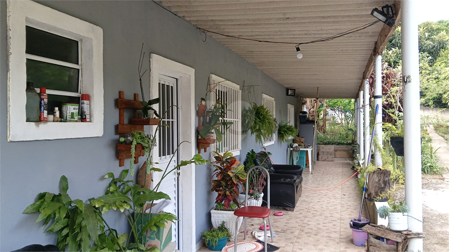 Foto REO1119829
