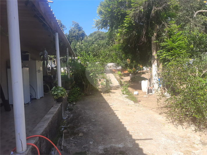 Foto REO1119829