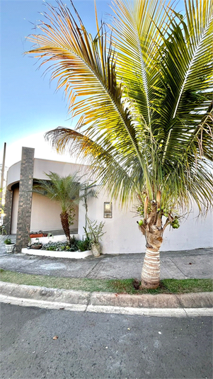 Foto REO1119859