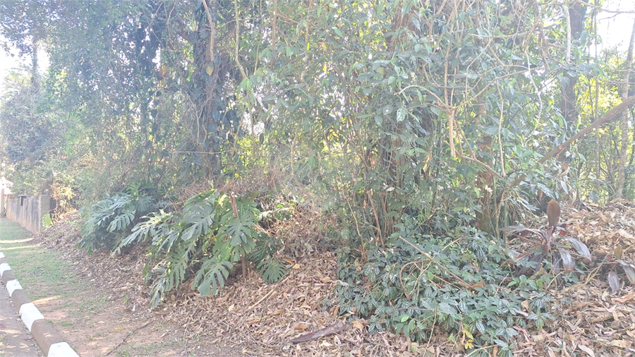 Foto REO1119894