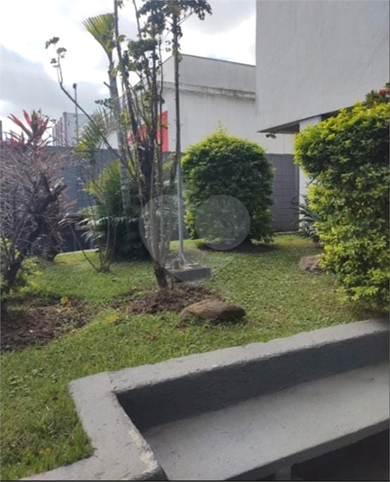 Foto REO1119921