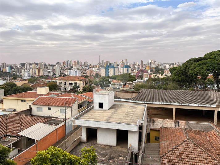 Foto REO1119924