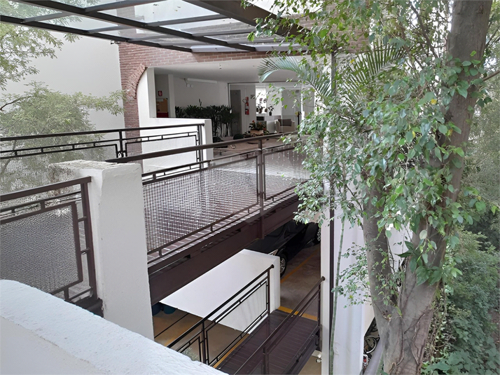 Foto REO1119925