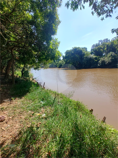 Foto REO1119926