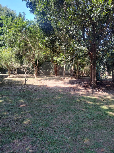 Foto REO1119926