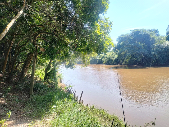 Foto REO1119926