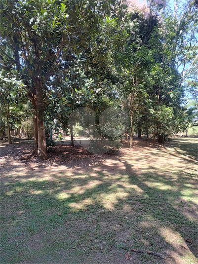 Foto REO1119926
