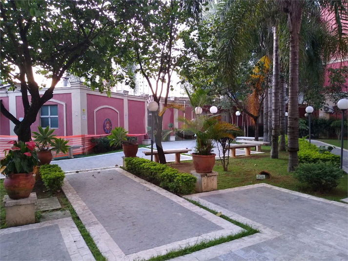Foto REO1119936