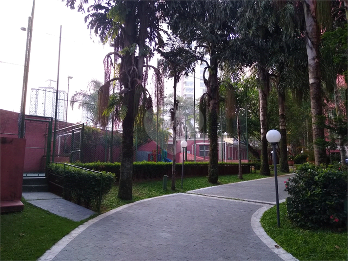 Foto REO1119936