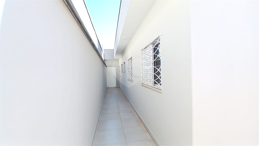 Foto REO1119938