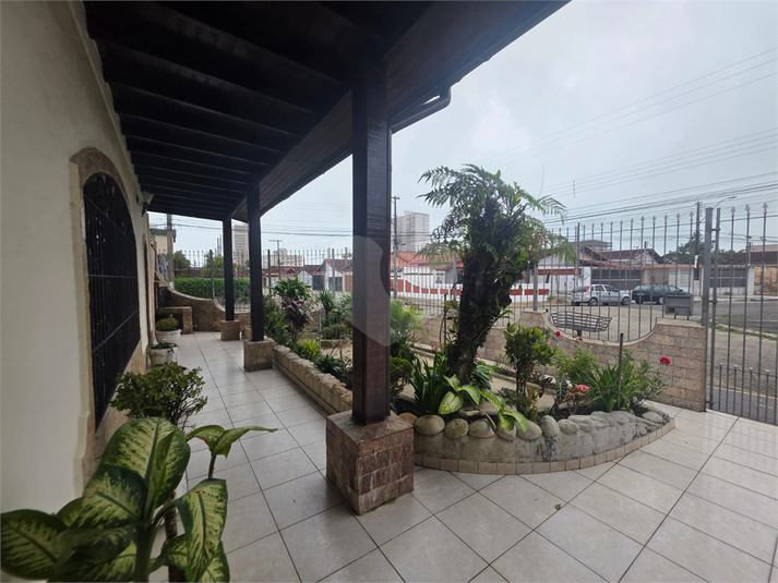 Foto REO1119955