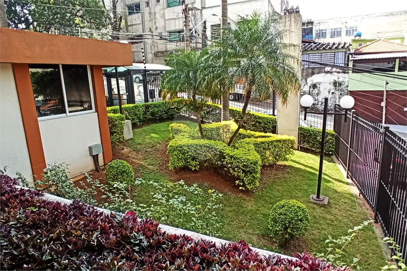 Foto REO1119956