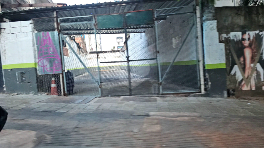 Foto REO1119965