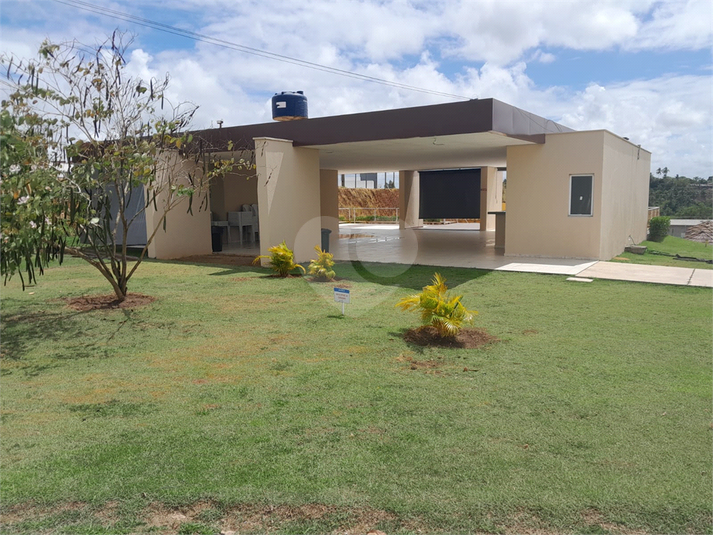 Foto REO1119968