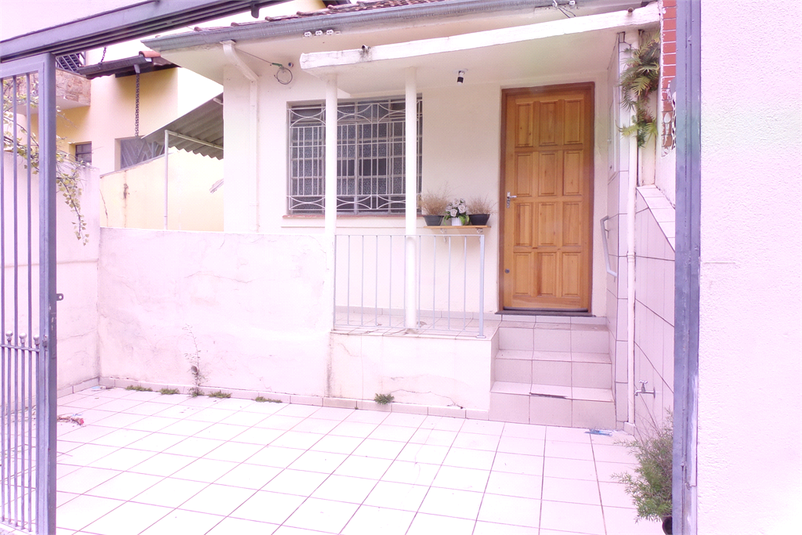 Foto REO1119987