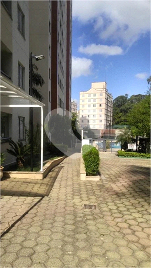 Foto REO1120003