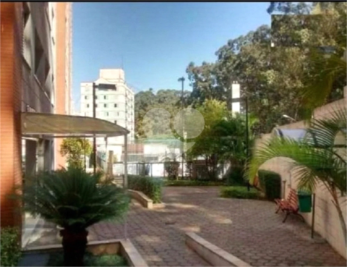 Foto REO1120003