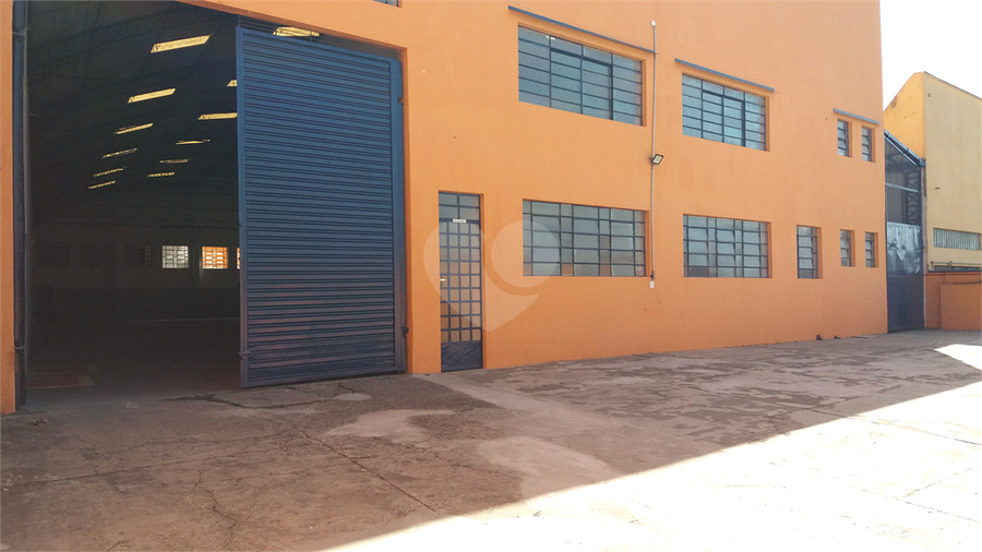 Foto REO1120026