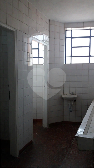 Foto REO1120026