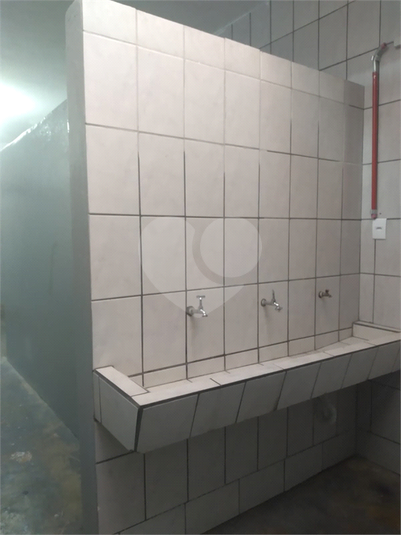 Foto REO1120026