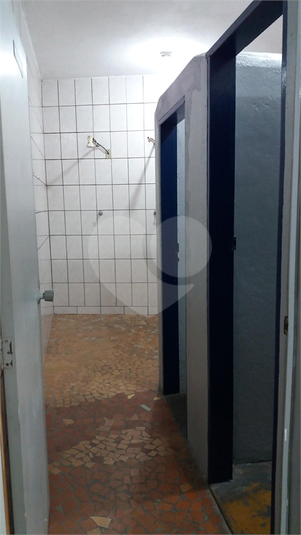 Foto REO1120026