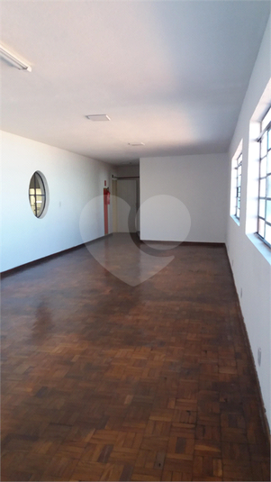 Foto REO1120026