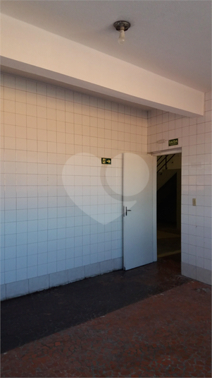 Foto REO1120026