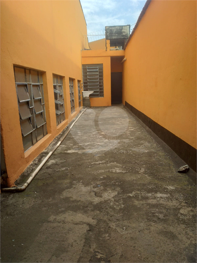 Foto REO1120026