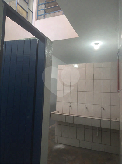 Foto REO1120026