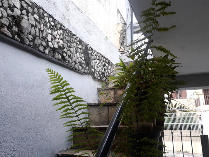 Foto REO1120056