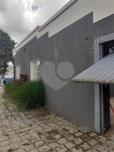 Foto REO1120173
