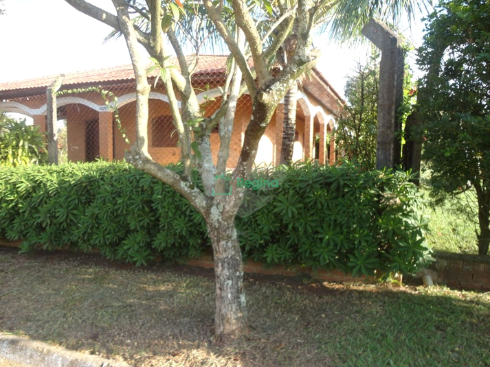 Foto REO1120179
