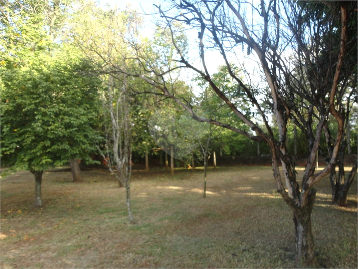 Foto REO1120179