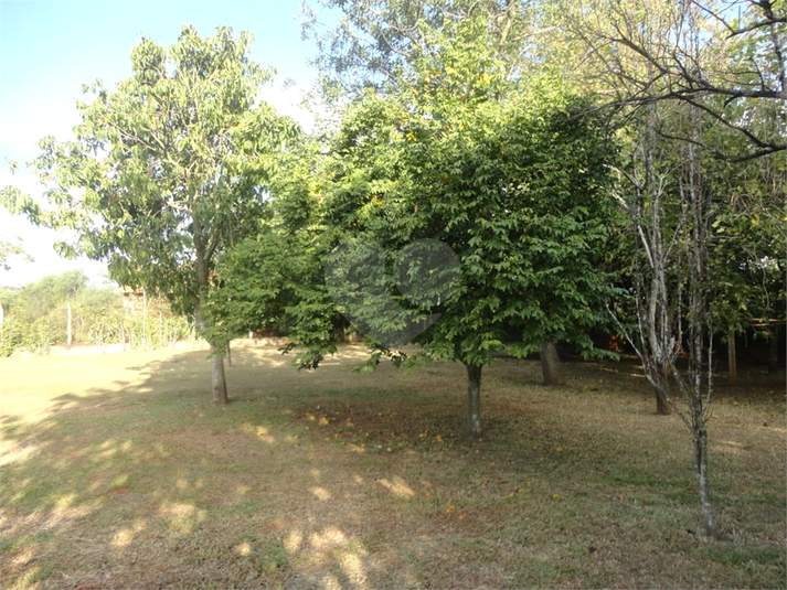 Foto REO1120179