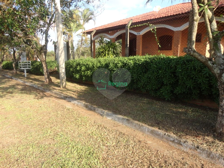 Foto REO1120179