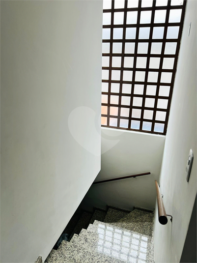 Foto REO1120194