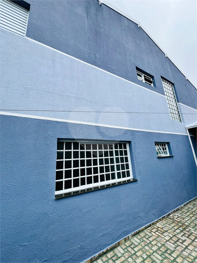 Foto REO1120194