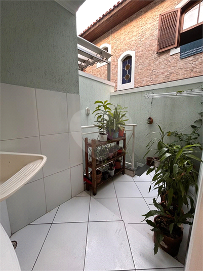 Foto REO1120253