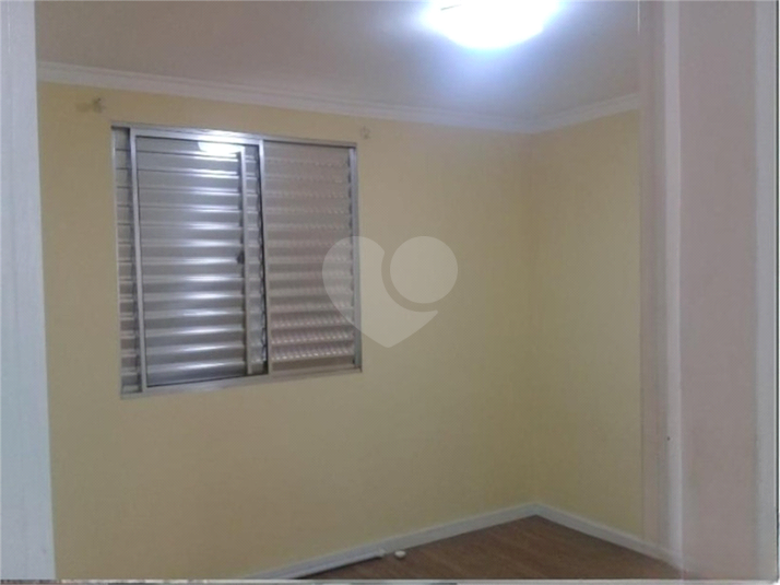 Foto REO1120259