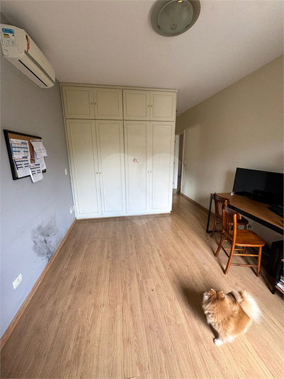 Foto REO1120264