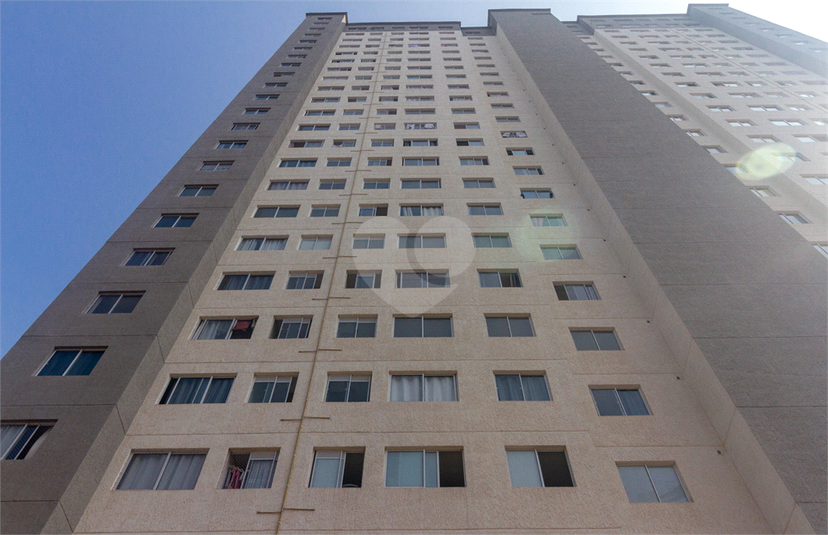 Foto REO1120275