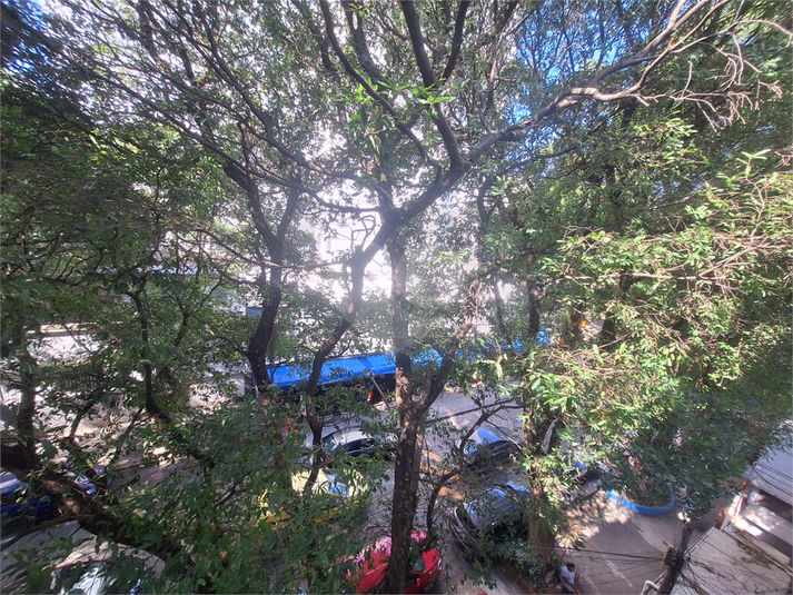 Foto REO1120278