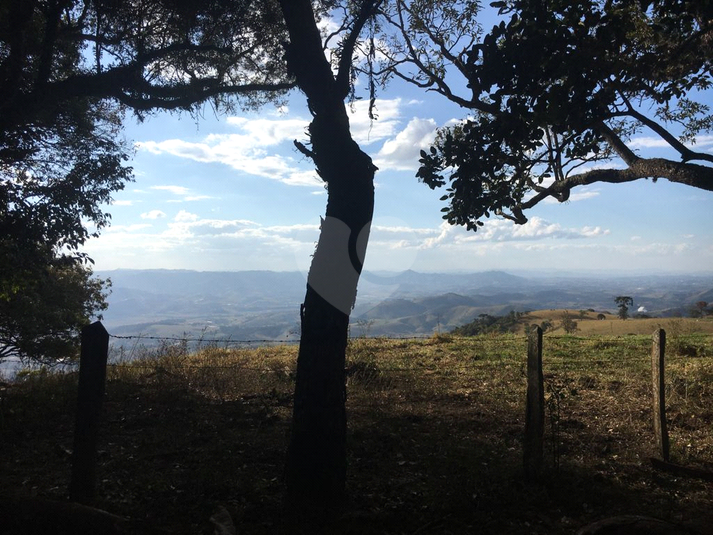 Foto REO1120328