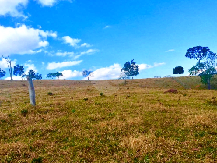 Foto REO1120328
