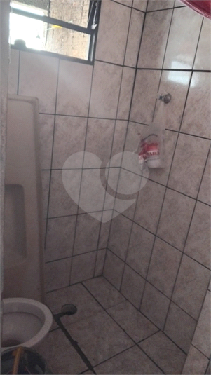 Foto REO1120365