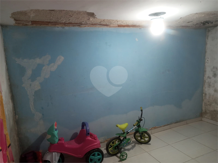 Foto REO1120365