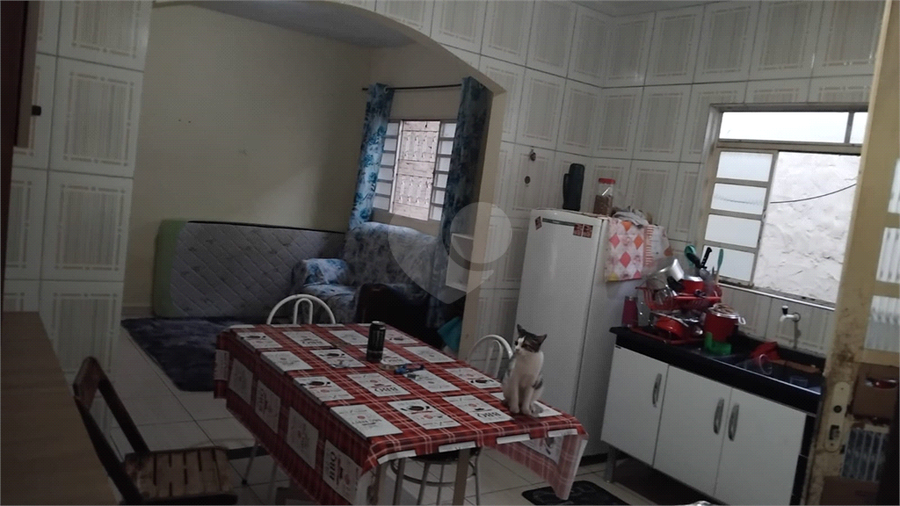 Foto REO1120365